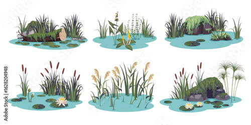 Ponds compositions. Aquatic plants, pieces of swamps, lake or river flora, wild water botany, summer landscape moss, cattails, reeds and lilies, tidy vector cartoon flat isolated set