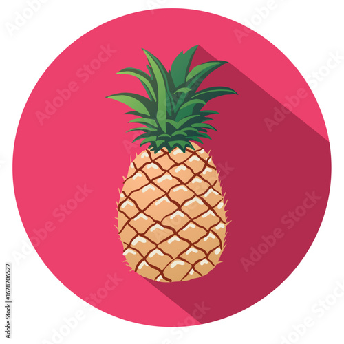 Vector illustration of pineapple