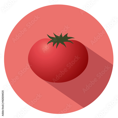 Vector illustration of a tomato