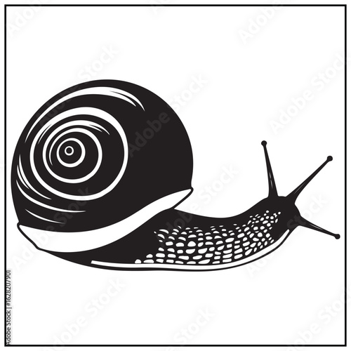 Vector art of black snail illustration isolated on white background
