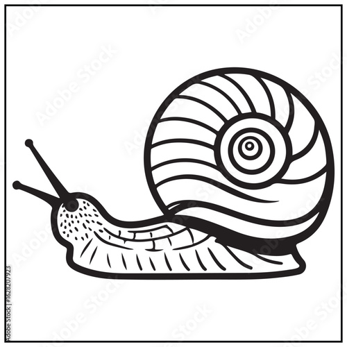 Vector art of black and white illustration of a snail isolated on white background
