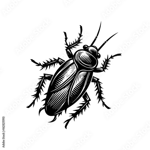 Detailed cockroach insect isolated on white background vintage illustration
