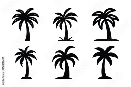 palm trees silhouettes