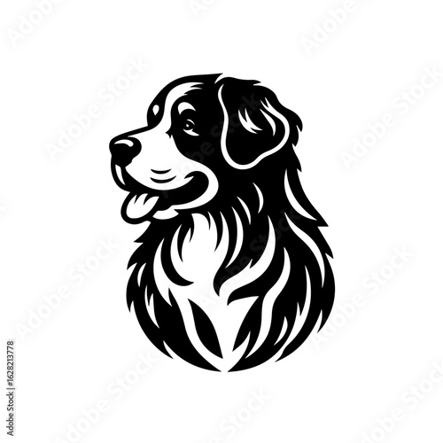Bernese mountain dog portrait isolated on white background, vintage style art