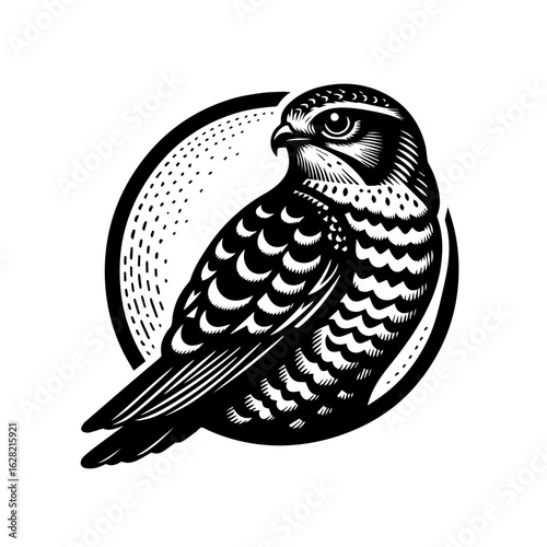 Peregrine falcon bird of prey in a bold black and white woodcut style illustration.