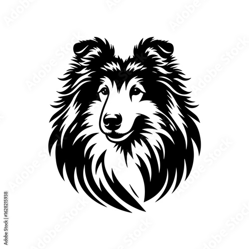vector illustration of a lion