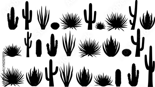 Cactus and Desert Plant Silhouettes Collection