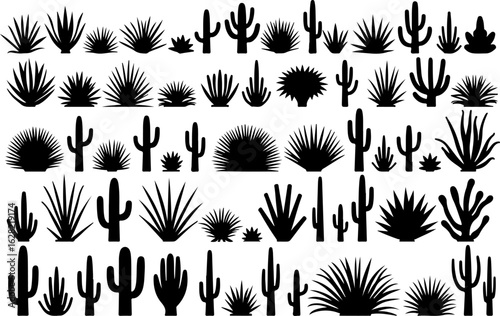 Cactus and Desert Plant Silhouettes Collection
