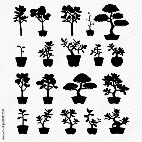 A collection of black silhouettes showing various potted houseplants, including bonsai and succulent trees.