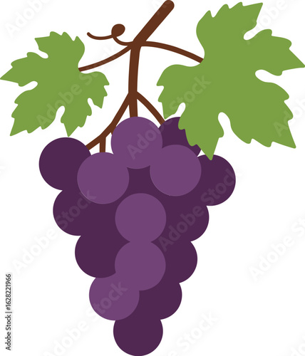 Juicy Bunch of Red Grapes with Leaf, Fresh Fruit Harvest, Agriculture Concept, Transparent PNG, Vine Plant Illustration