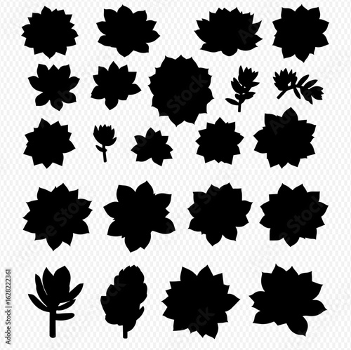A diverse collection of black silhouettes showing various types of succulent plants.
