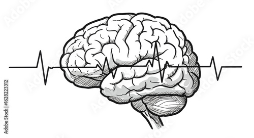 Neuroscience concept: brain with electrocardiogram pulse line for medical design