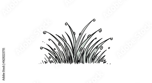 Morning dew on grass blades illustration for nature and botanical design
