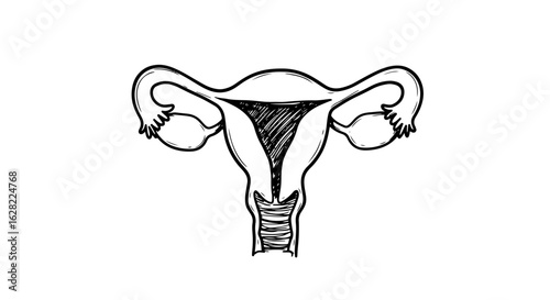 Symbolic uterus with heart emphasizing feminine health and love