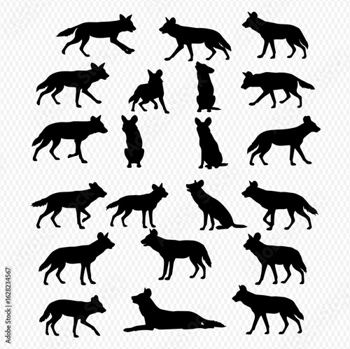 A collection of black silhouettes of a wild dog, like a wolf or coyote, in various dynamic and static poses.