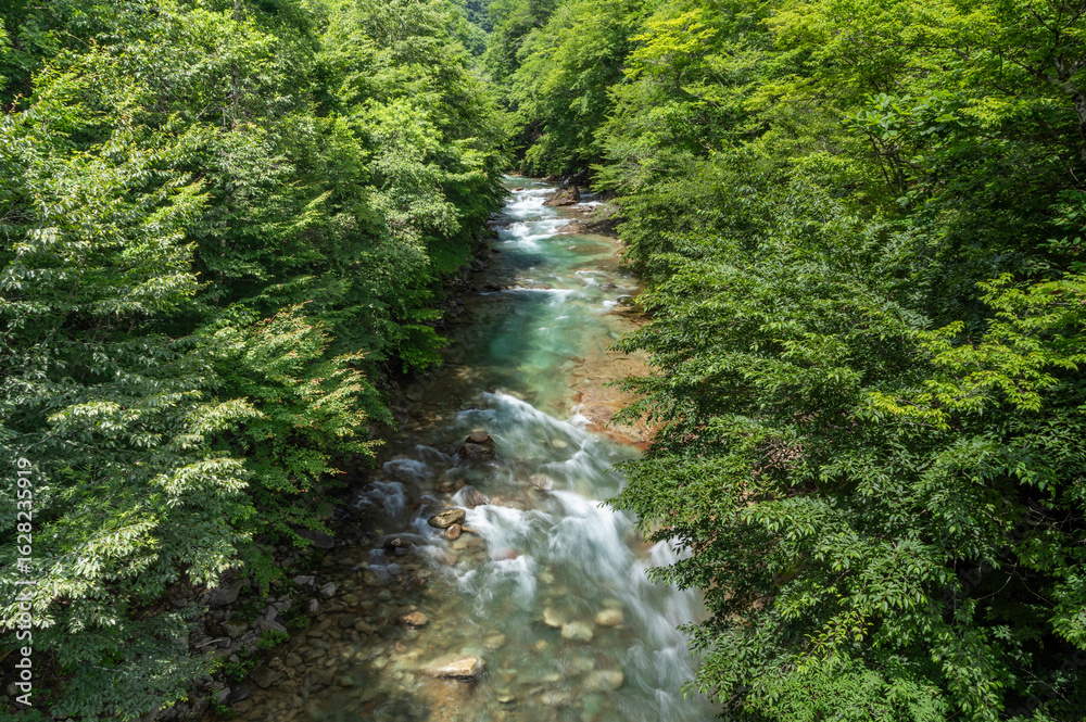 Obraz premium 夏の豊かな緑に囲まれた白砂川の渓谷