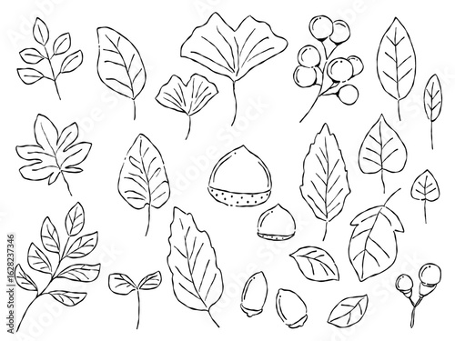 手描きテイストな秋の葉っぱや木の実のイラストセット(モノクロ線画)