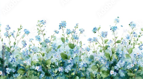 Delicate blue forget-me-nots border