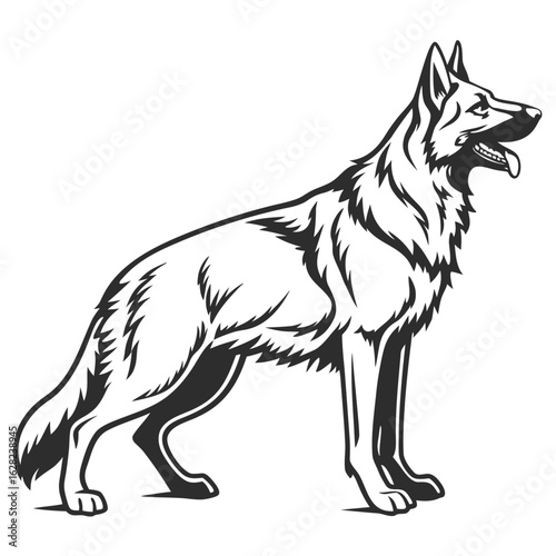German Shepherd Dog Standing Profile Black and White Illustration