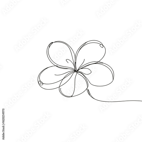 Single-line Plumeria drawing in minimalist style in black and white represents simplicity
