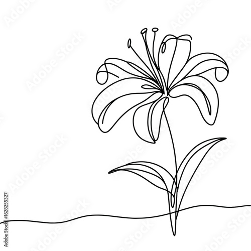 Amaryllis drawing in minimalist style in black and white