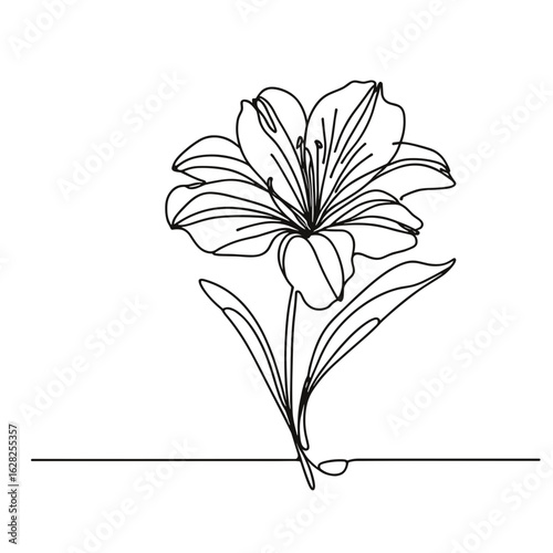 Single Line lily Drawing in Black and White Artistic Style