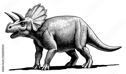 A Triceratops dinosaur in a woodblock print style