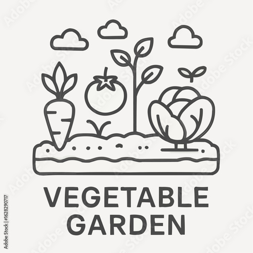 Vegetable garden with carrots, tomatoes, and lettuce plants  