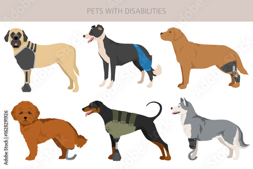 Disabled dog clipart. Prosthesis dogs. Vector illustration