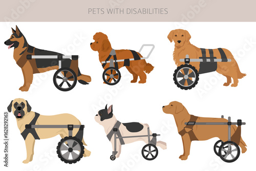 Disabled dog clipart. Dogs in a wheelchair. Vector illustration