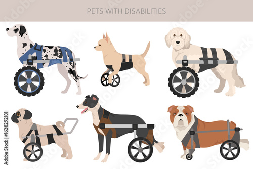 Disabled dog clipart. Dogs in a wheelchair. Vector illustration