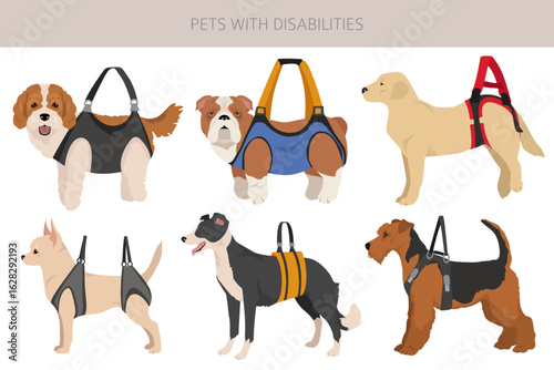 Disabled dog clipart. Dogs in a sling bag. Vector illustration