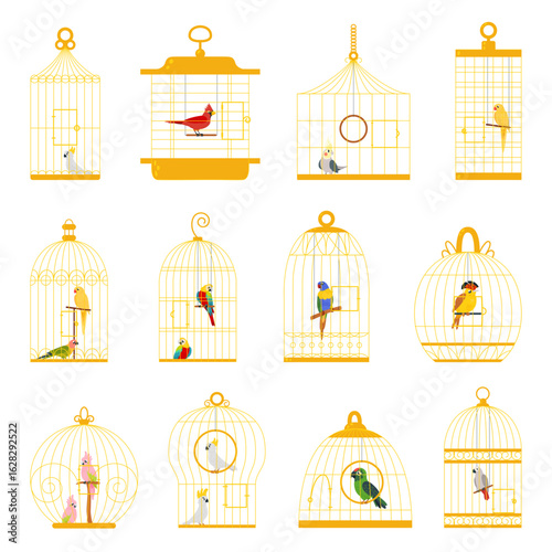 Birds in cages. Cartoon bird in golden cage, decorative different animals. Parrots cockatoo cardinal, exotic flying characters classy vector set