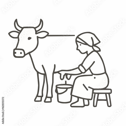Woman milking cow while sitting on stool in farm setting  