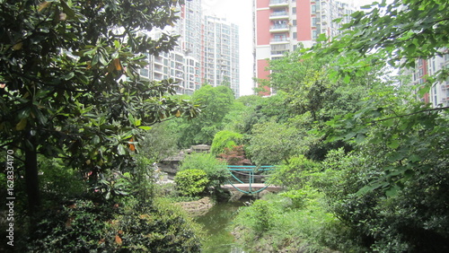 Photography chinese garden in shanghai