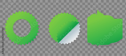 Green Blank Stickers and Labels Set. Box Text Vector Illustration