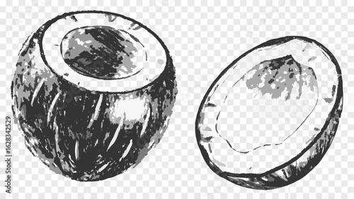 A sketch of two coconut halves with detailed textures and shading on a transparent background design