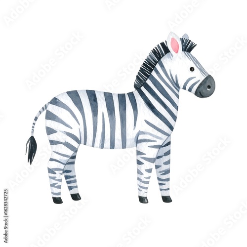 Cute Zebra illustration