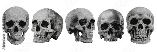 Set of human skull halftone grunge vector design elements