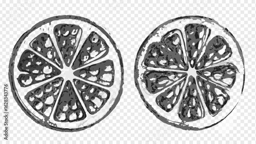 Two citrus fruit slices with detailed texture and segmented pattern in a grayscale artistic rendition