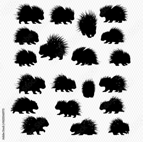 A collection of black porcupine silhouettes showing the spiky rodent in various poses and angles.