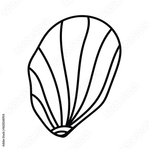 Decorative contour sketch of ocean shell design.
