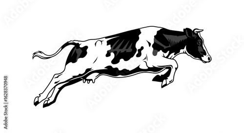 Dynamic black and white holstein cow mid jump illustration