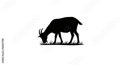 Black silhouette of a goat grazing in grass