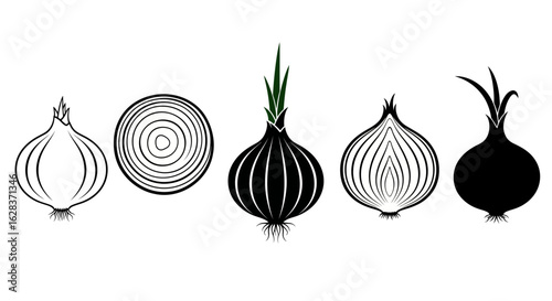 Stylized onion illustrations in black and white with green accents