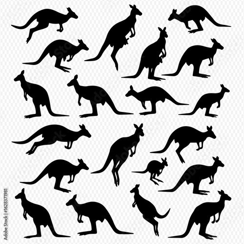 A collection of black kangaroo silhouettes in various dynamic poses and sizes.