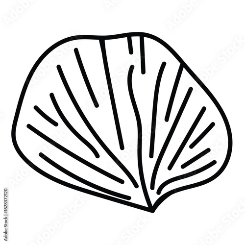 Nautical seashell drawing with clean contour lines.