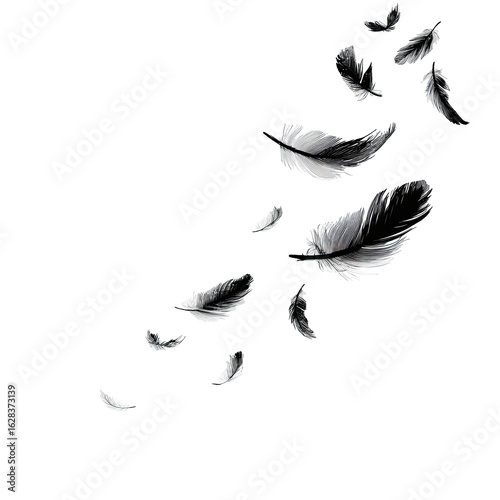 Black and white feathers falling