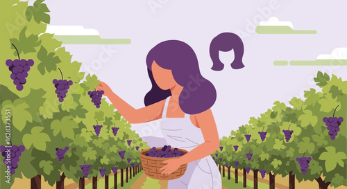 Illustration of a woman harvesting grapes in a vineyard with stylized elements in flat design