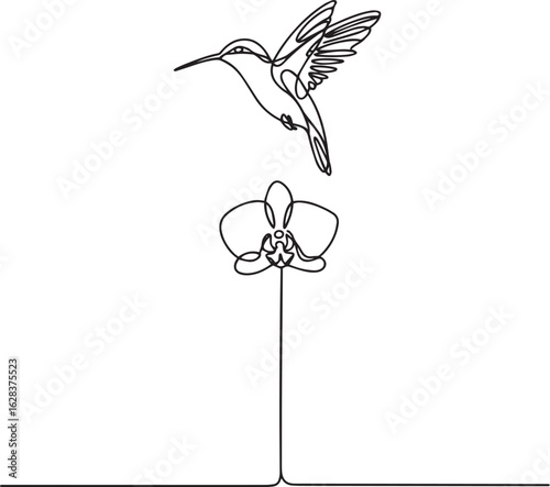 Continuous one line drawing of a graceful hummingbird hovering over an orchid flower in a minimalist style on a white background

